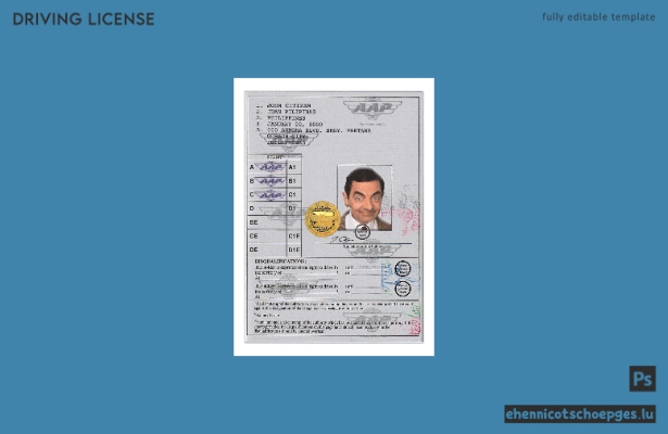 Philippinischer internationaler Führerschein im Format der Wiener Konvention – Beispielvorschau